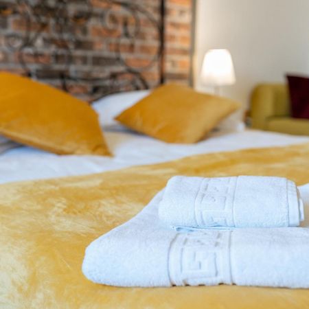 Cozy Spacious 5 Star Accommodation In The Heart Of Historic Center クルージュ＝ナポカ エクステリア 写真