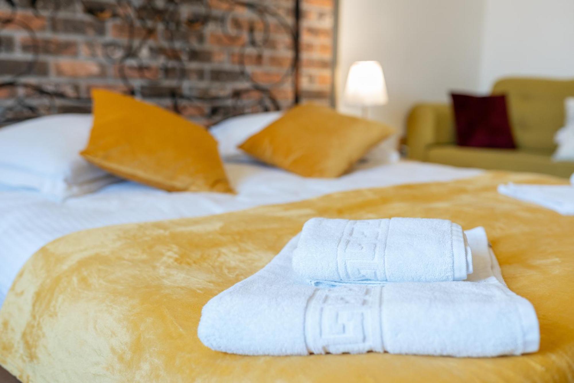 Cozy Spacious 5 Star Accommodation In The Heart Of Historic Center クルージュ＝ナポカ エクステリア 写真