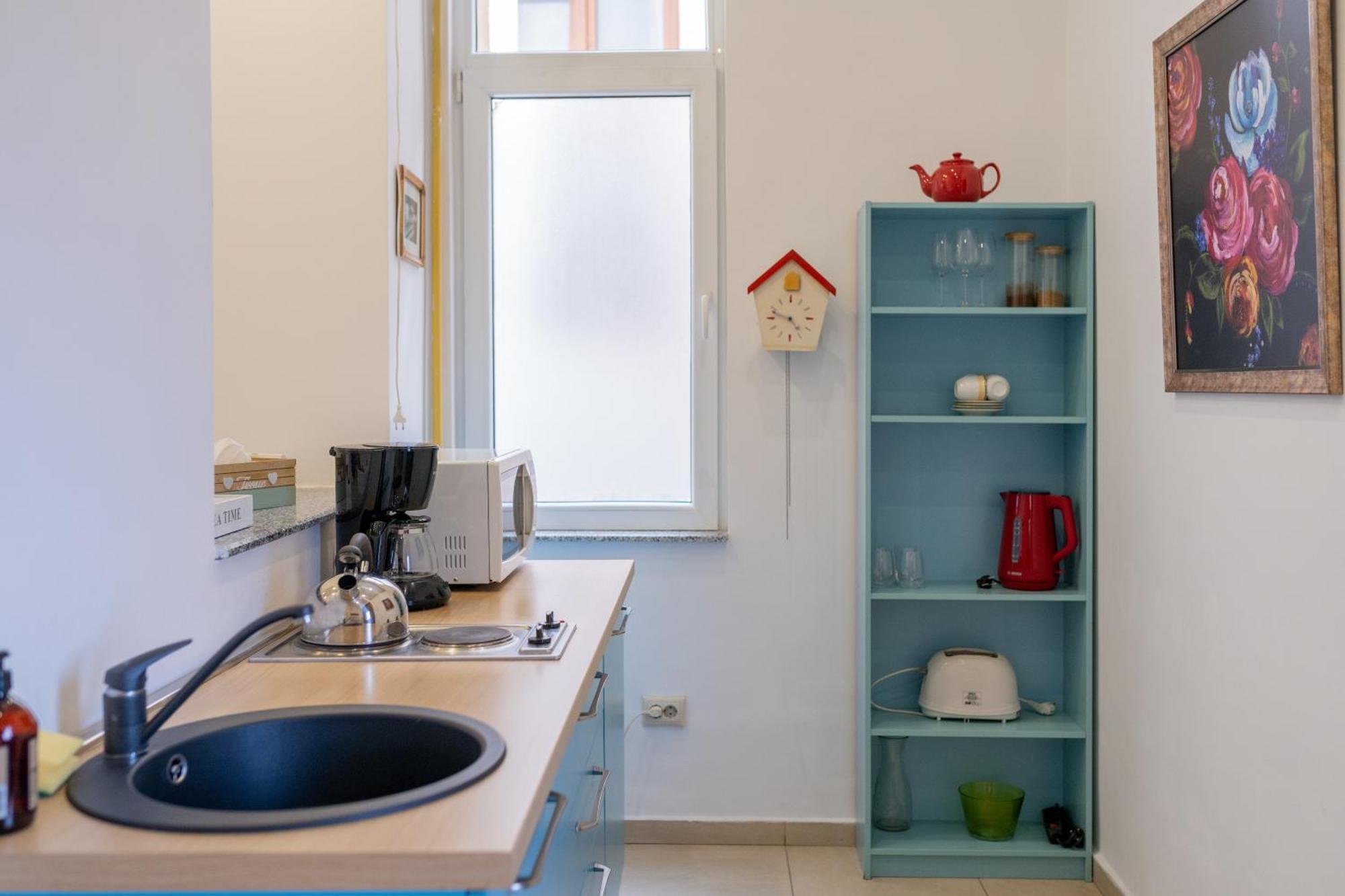 Cozy Spacious 5 Star Accommodation In The Heart Of Historic Center クルージュ＝ナポカ エクステリア 写真