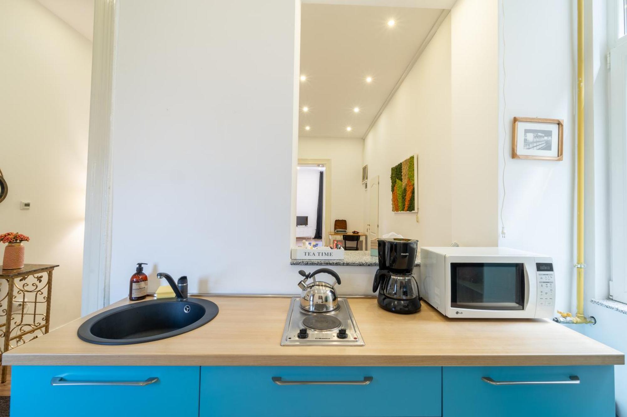 Cozy Spacious 5 Star Accommodation In The Heart Of Historic Center クルージュ＝ナポカ エクステリア 写真