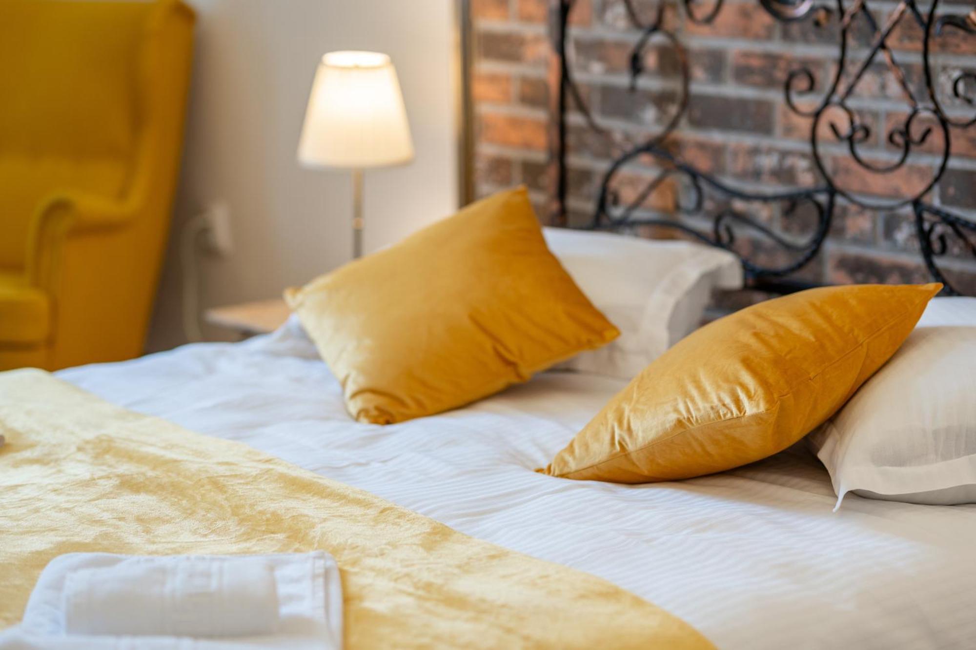 Cozy Spacious 5 Star Accommodation In The Heart Of Historic Center クルージュ＝ナポカ エクステリア 写真