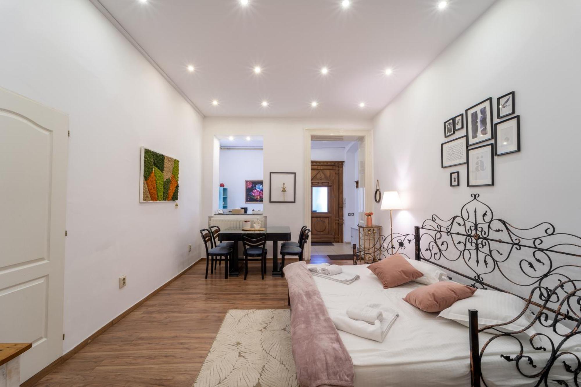 Cozy Spacious 5 Star Accommodation In The Heart Of Historic Center クルージュ＝ナポカ エクステリア 写真