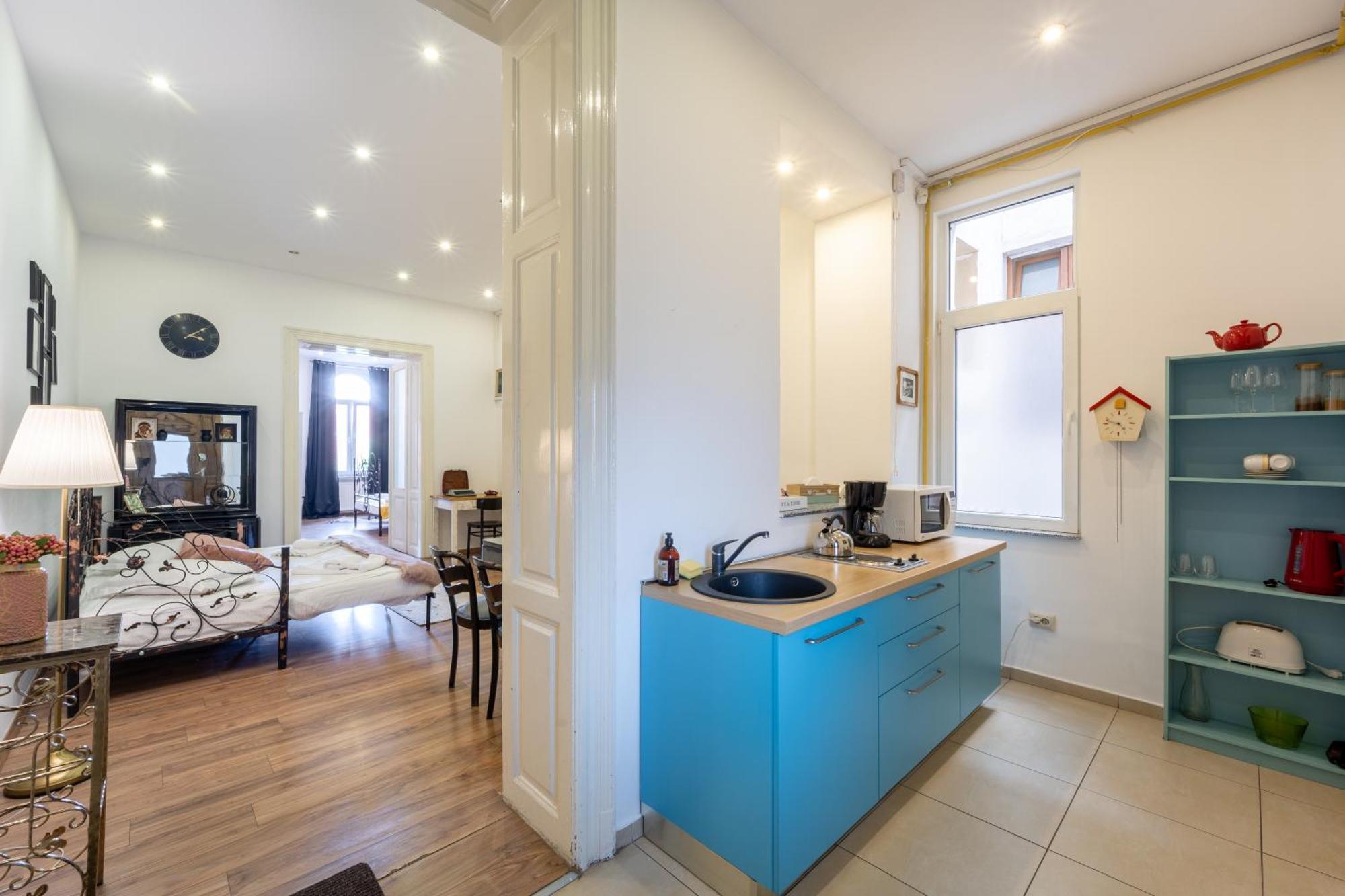 Cozy Spacious 5 Star Accommodation In The Heart Of Historic Center クルージュ＝ナポカ エクステリア 写真